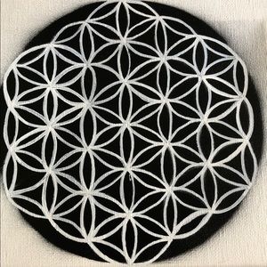 Meet your Posher, Rosa